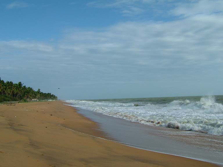 Маравила, Шри-Ланка, фото № 51715 – фотографии Шри-Ланки