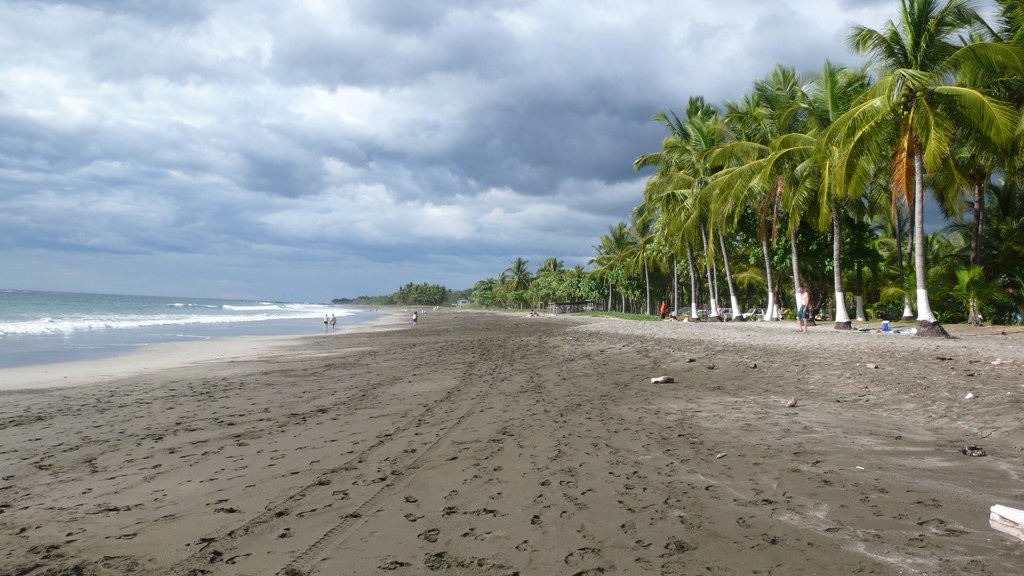 Плайя Хункуиллал, Гуанакасте провинция, Коста-Рика, фото № 39826 – фотографии Коста-Рики