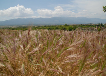 Турция, фото № 1067 – фотографии Турции