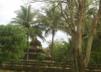 Канди, Шри-Ланка, фото № 51366 – фотографии Шри-Ланки