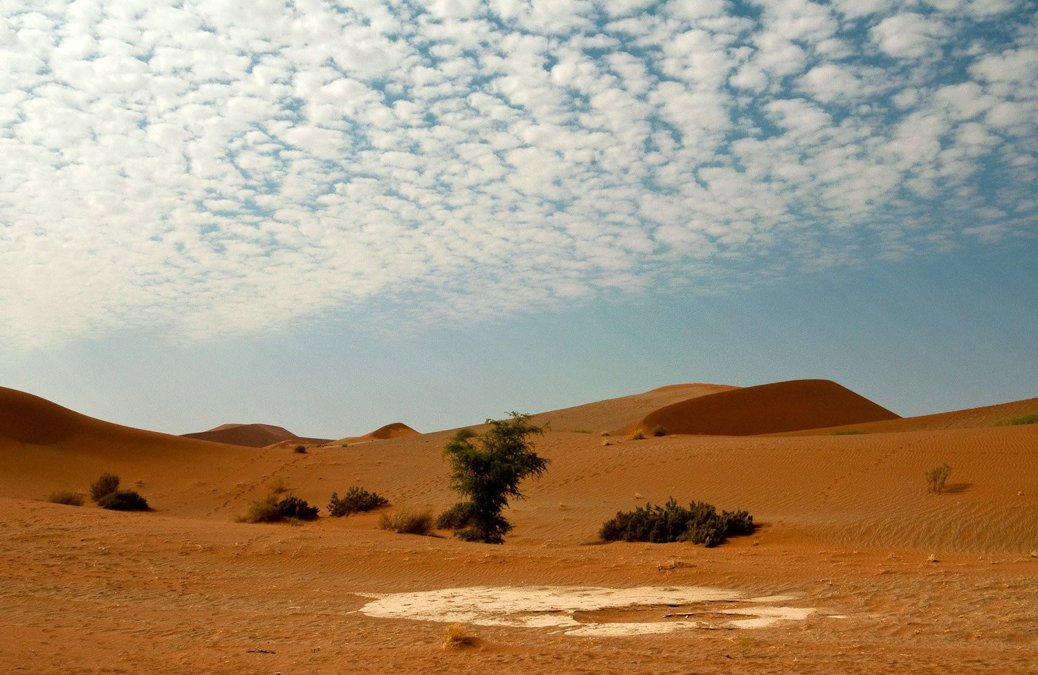 Намибия, фото № 5553 – фотографии Намибии