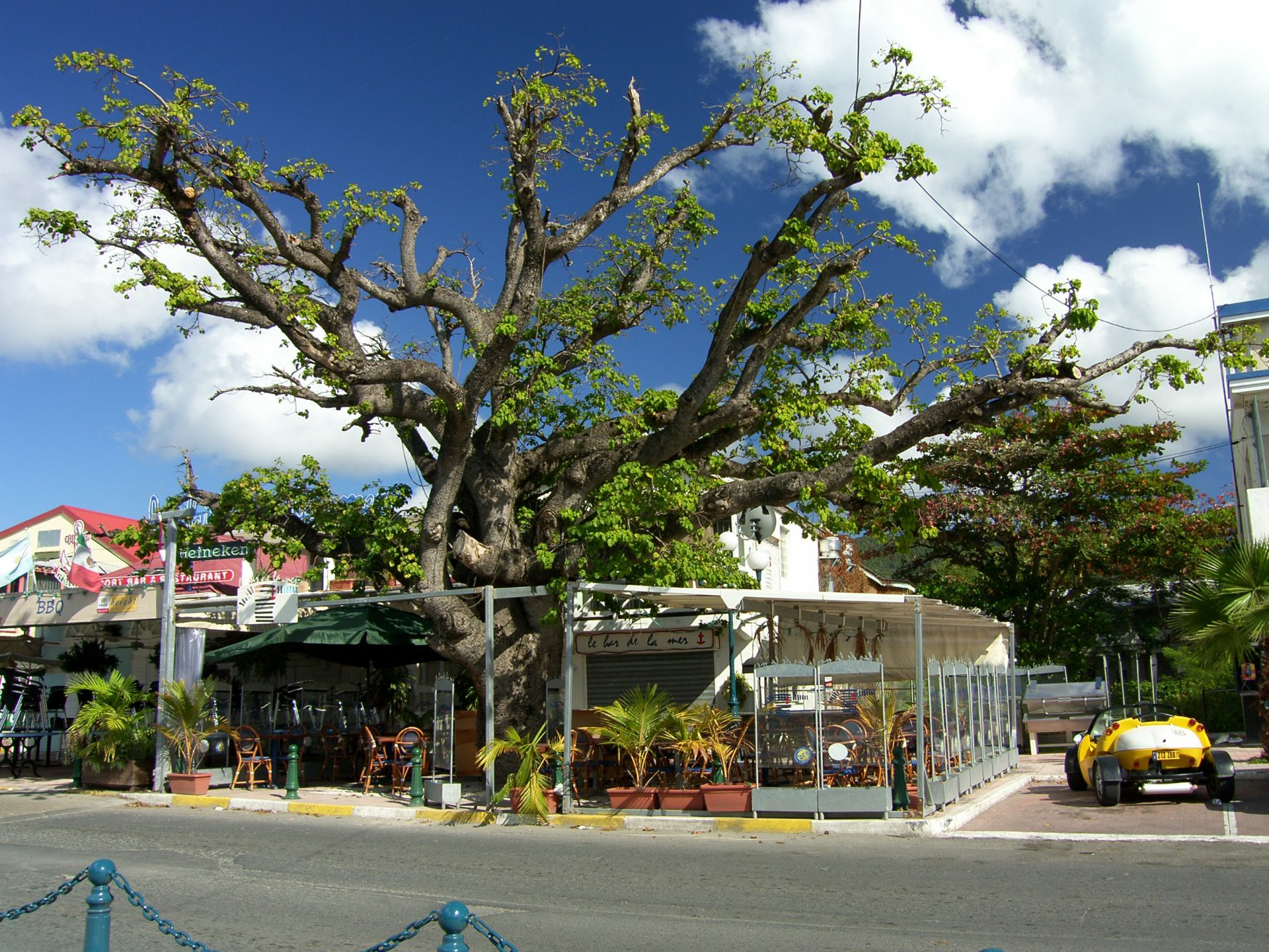 Мариго, Сен-Мартен, фото № 58737 – фотографии Сен-Мартена