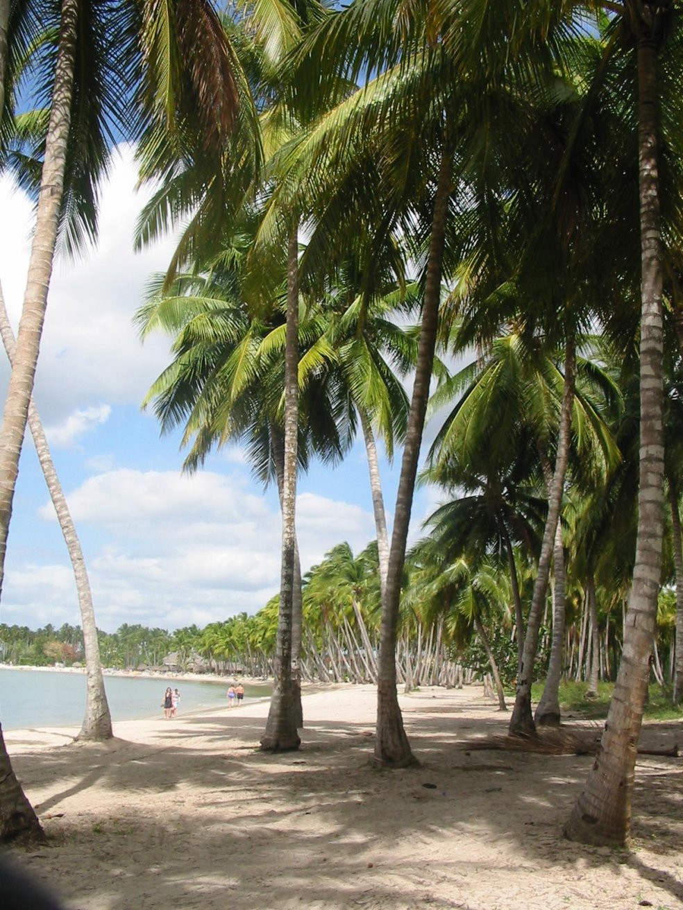 Ла-Романа, Доминикана, фото № 30403 – фотографии Доминиканы