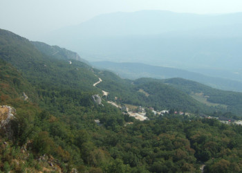 Природа в Даниловграде, Черногория. Фото 6 – фотографии Черногории