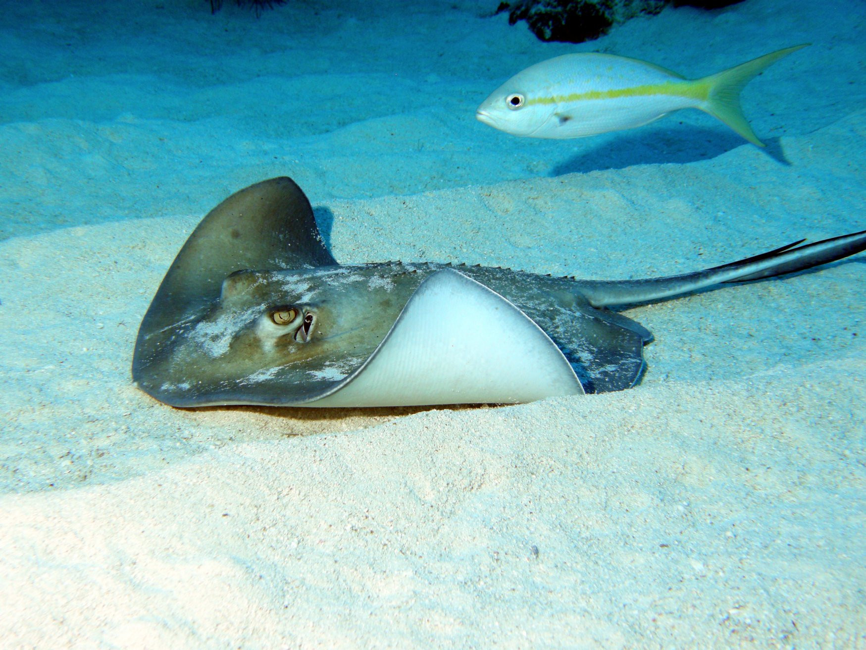 Caicos Islands – фотографии Тёркс и Кайкос