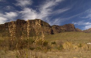 Техеда, Гран-Канария остров, Канарские острова, фото № 31460 – фотографии Канарских островов