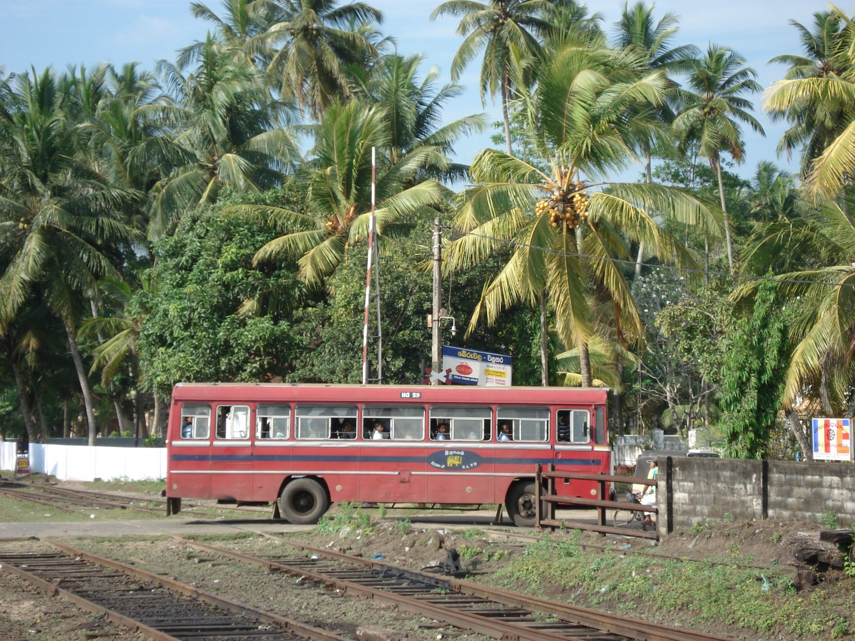 Шри-Ланка, фото № 1128 – фотографии Шри-Ланки