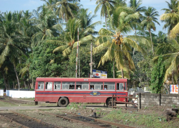 Шри-Ланка, фото № 1128 – фотографии Шри-Ланки