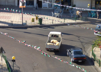 Акаба, Иордания, фото № 36071 – фотографии Иордании