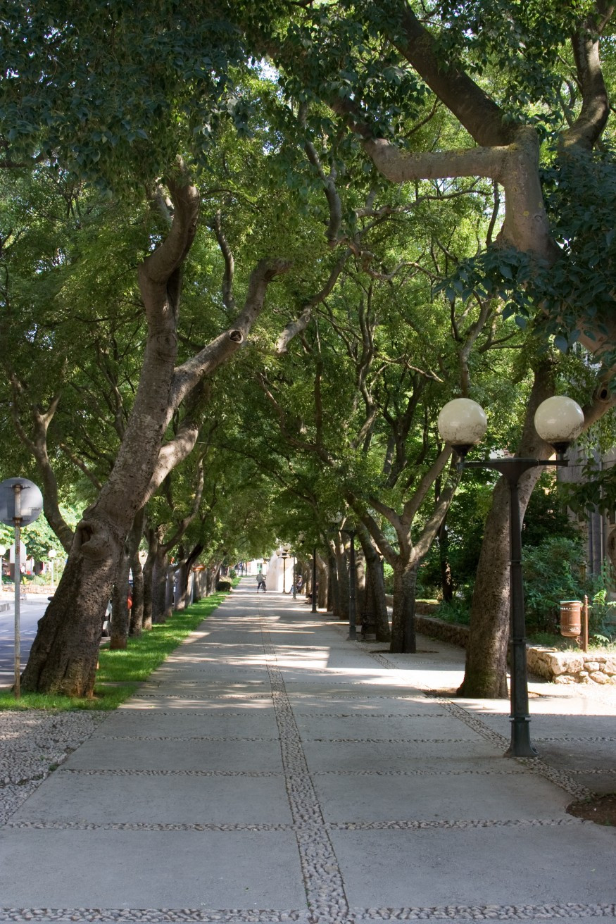 Аллея в Цресе, Хорватия – фотографии Хорватии