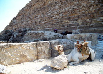 Египет, фото № 569 – фотографии Египта