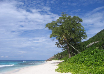 Остров Арид, Сейшелы Фото 5 – фотографии Сейшельских островов