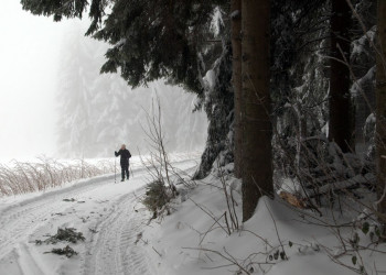Есеник, Чехия, фото № 68764 – фотографии Чехии