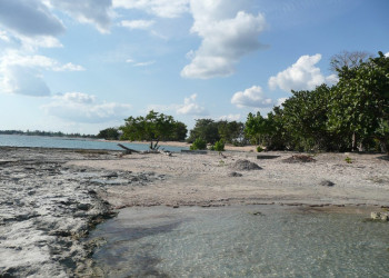 Берег на Заливе Свиней, Куба. Фото 6 – фотографии Кубы