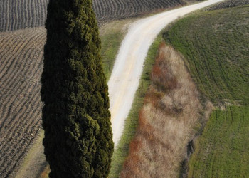 Тоскана, Италия, фото № 77959 – фотографии Италии