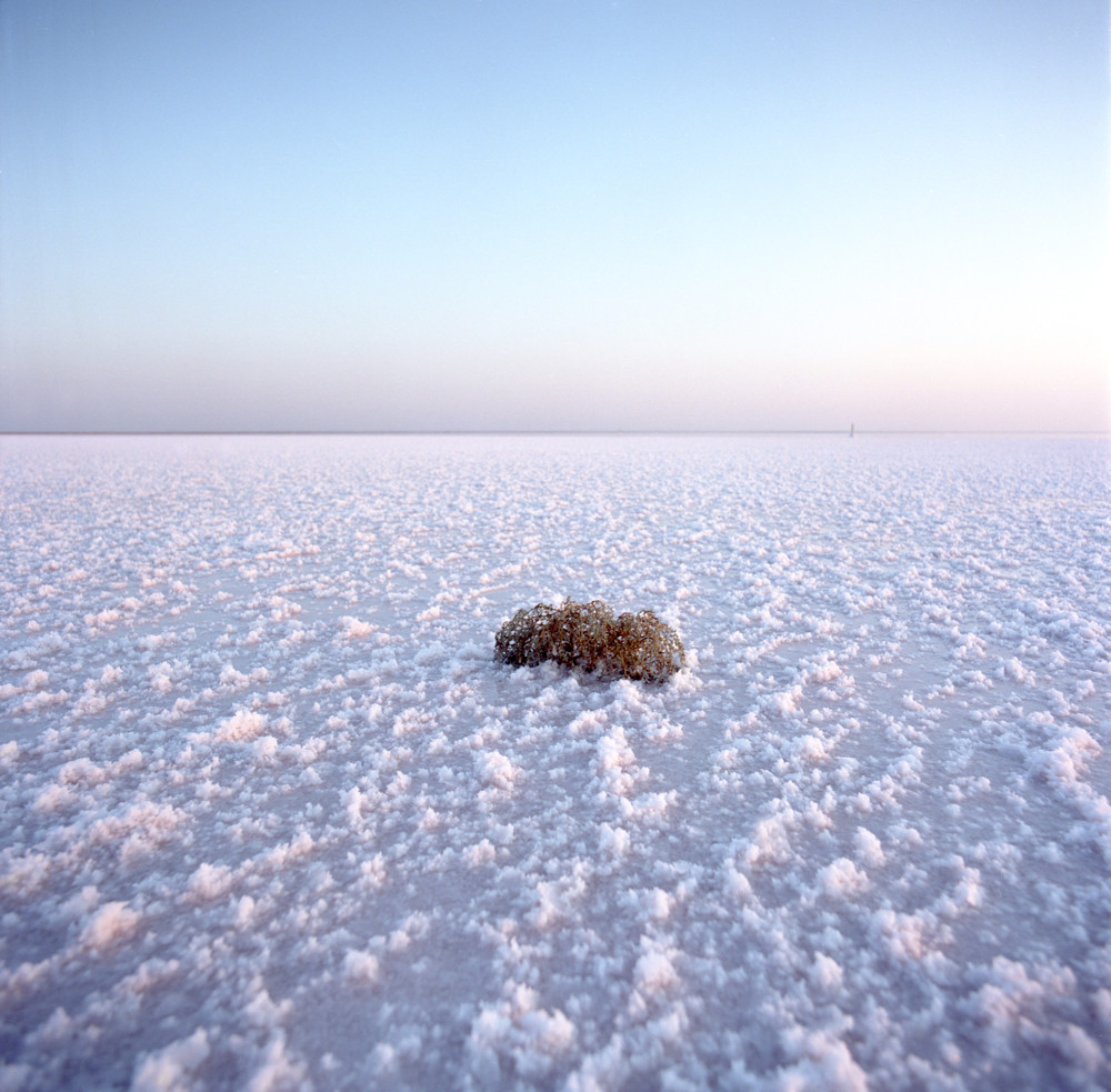Озеро эльтон в августе Озеро эльтон в августе