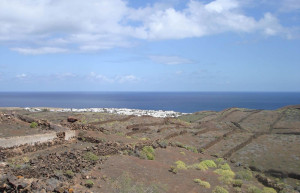 Чарко-дель-Пало, Лансароте остров, Канарские острова, фото № 32857 – фотографии Канарских островов