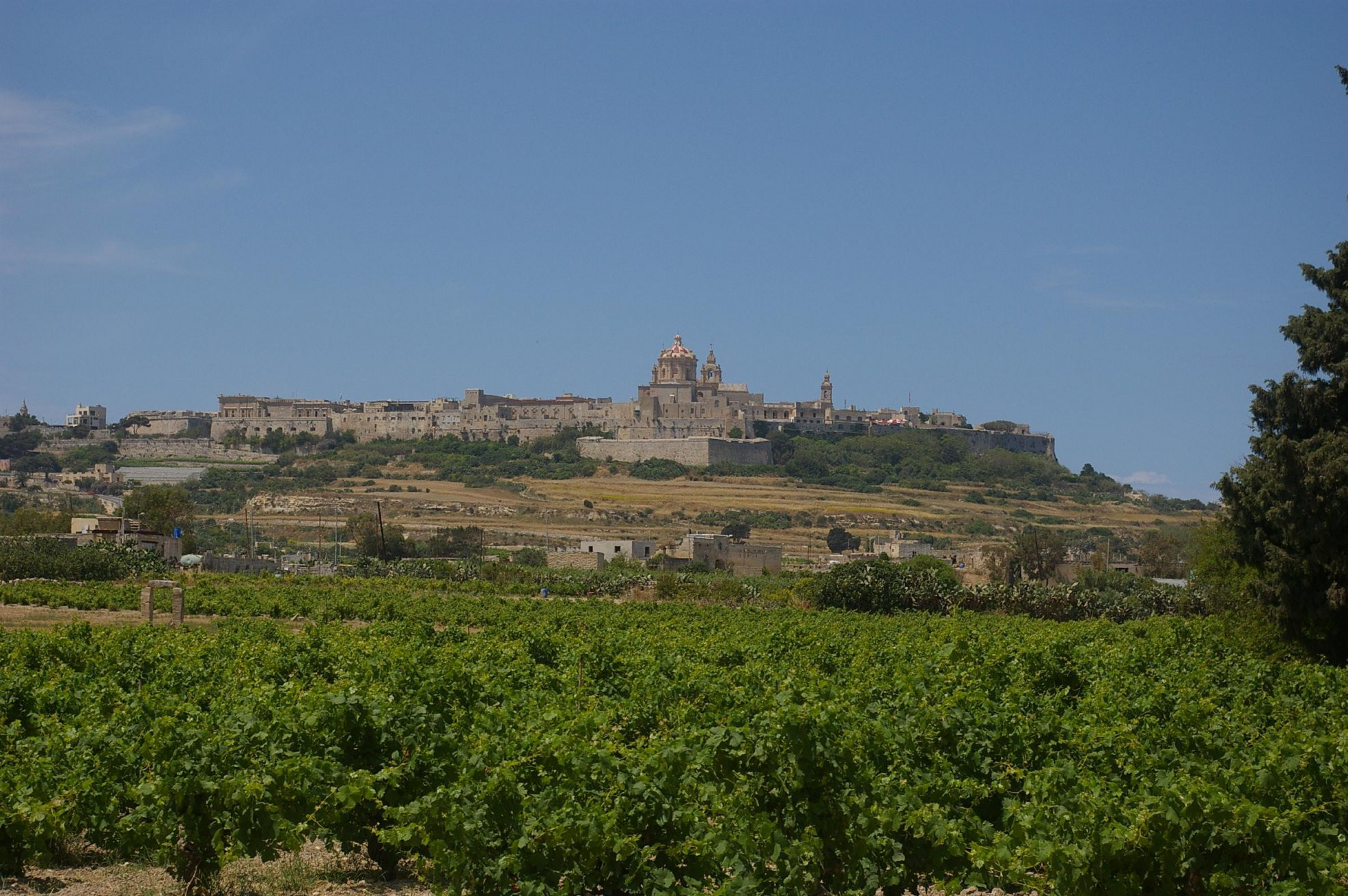 Мдина, Мальта остров, Мальта, фото № 42499 – фотографии Мальты