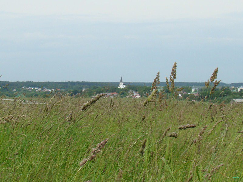 Поле в Александрове, Россия – фотографии России