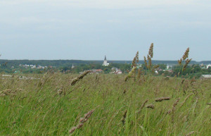 Поле в Александрове, Россия – фотографии России