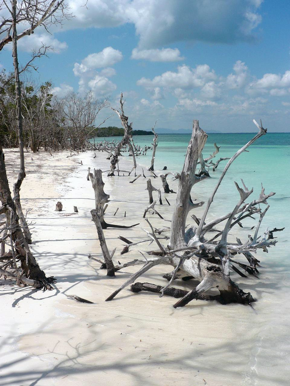 Пляж в Пинар дель Рио провинция, Куба. Фото 10 – фотографии Кубы