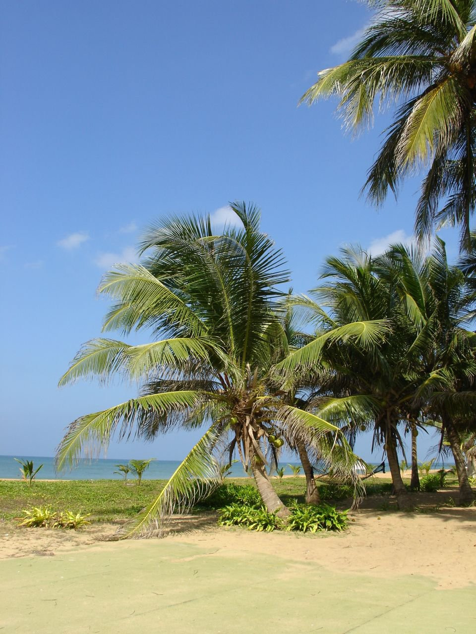 Маравила, Шри-Ланка, фото № 51702 – фотографии Шри-Ланки