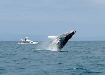 Галапагосские острова, Эквадор, фото № 68236 – фотографии Эквадора