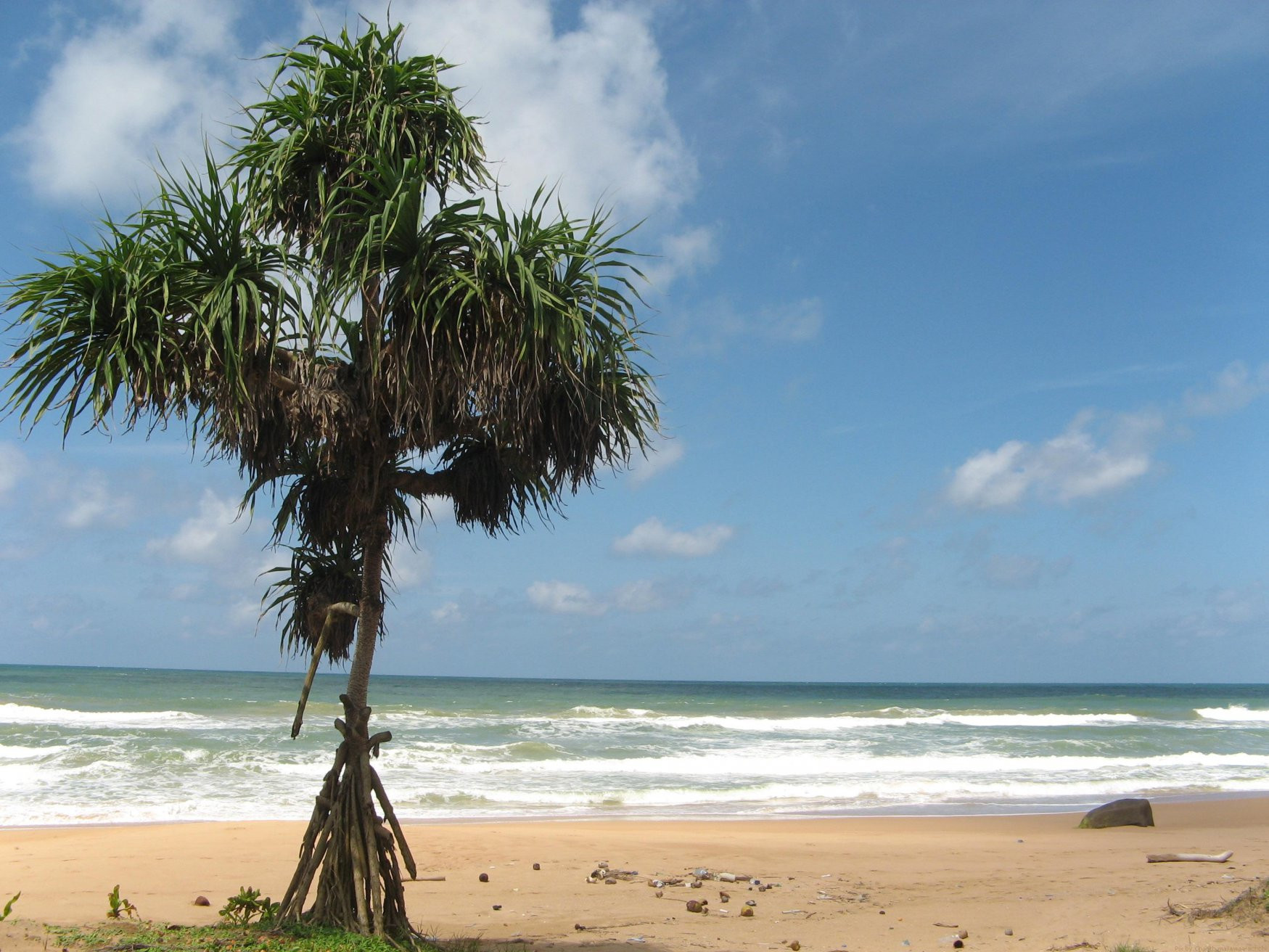 Коcгода, Шри-Ланка, фото № 51501 – фотографии Шри-Ланки