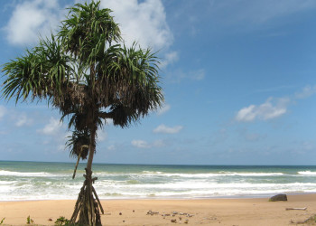 Коcгода, Шри-Ланка, фото № 51501 – фотографии Шри-Ланки