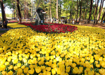 В парке Хитачи-Сисайд, Япония – фотографии Японии