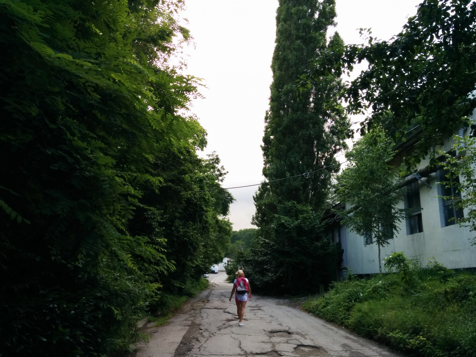 Дорожки в посёлке Южный. Фото 1 – фотографии России