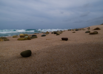 Пляж  на Восточном побережье, Барбадос. Фото 7 – фотографии Барбадоса