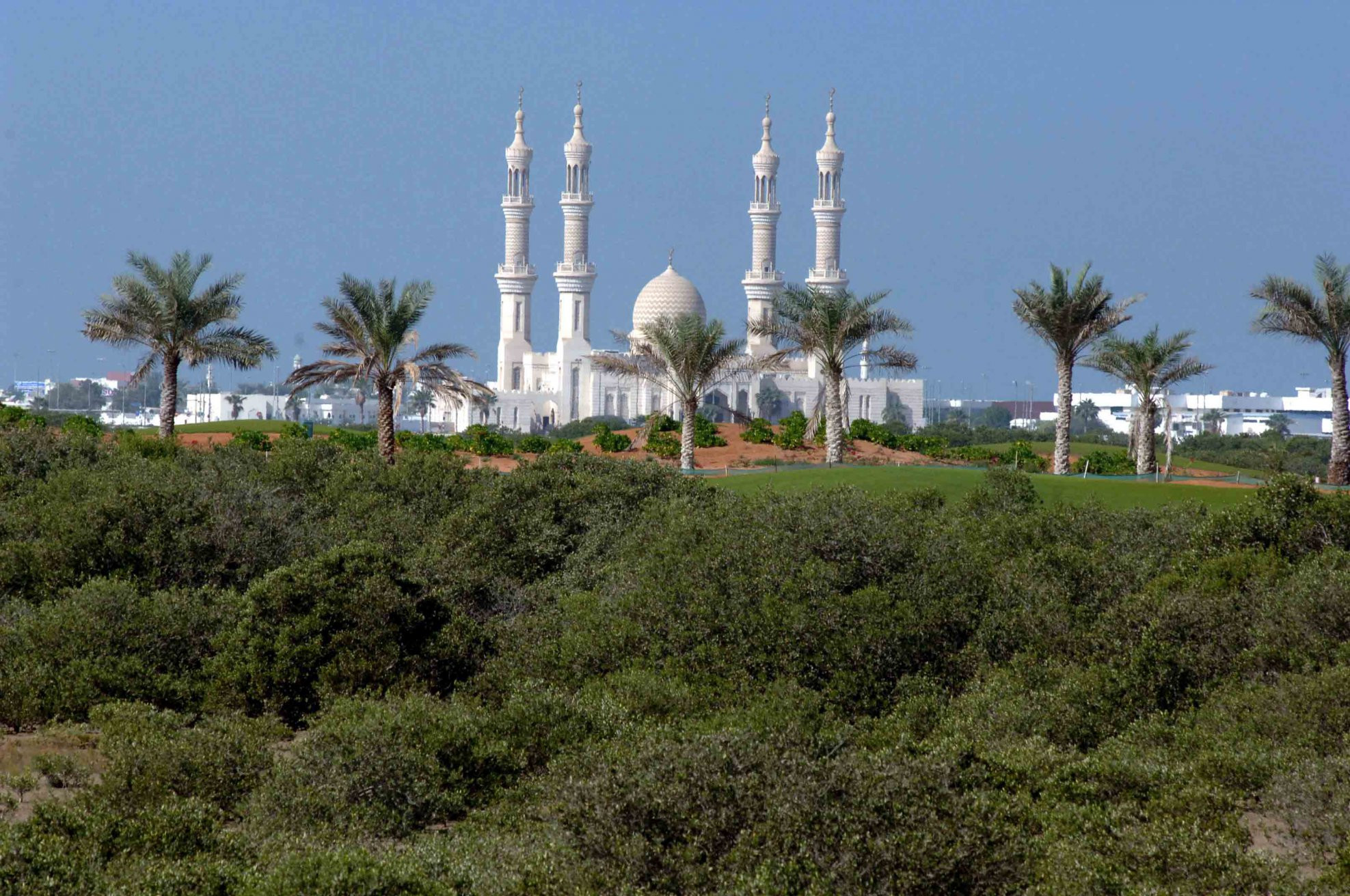 Рас-аль-Хайма, ОАЭ, фото № 61027 – фотографии ОАЭ