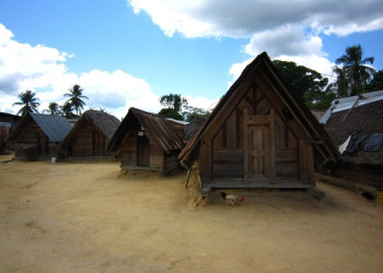 Суринам, фото № 4667 – фотографии Суринама