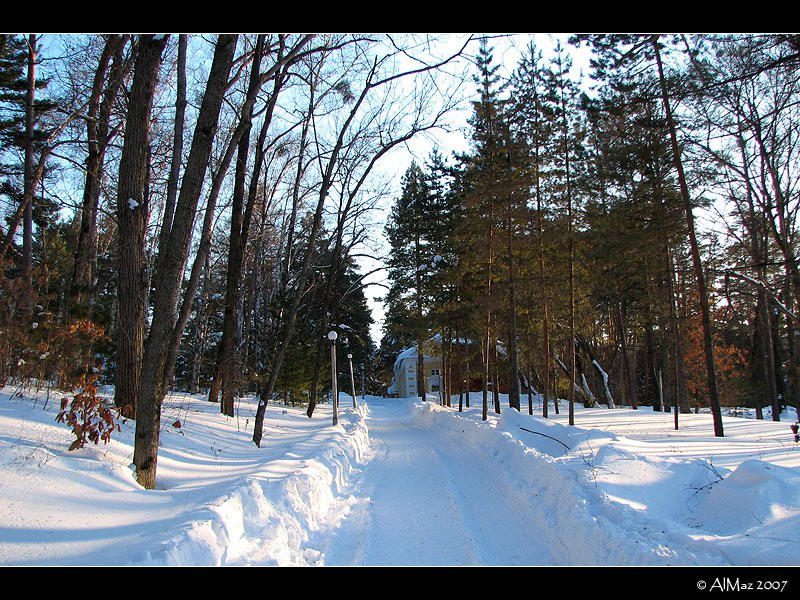 Природа в Шмаковке, Россия. Фото 1 – фотографии России
