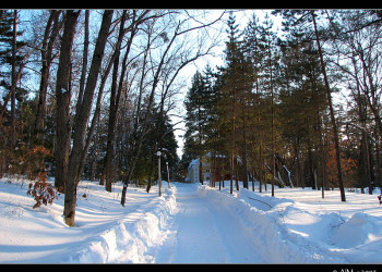 Природа в Шмаковке, Россия. Фото 1 – фотографии России