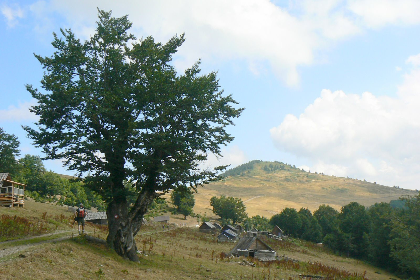 Деревня в Национальном парке, Черногория. Фото 6 – фотографии Черногории