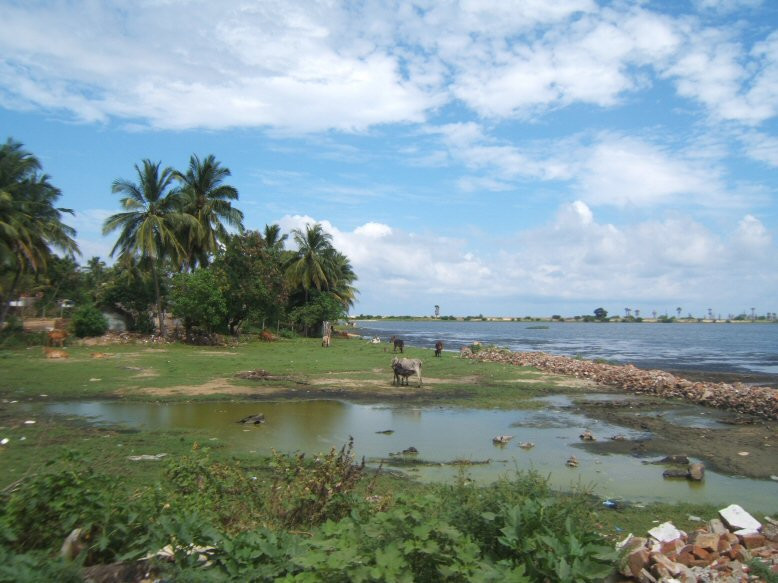 Баттикалоа, Шри-Ланка, фото № 50575 – фотографии Шри-Ланки