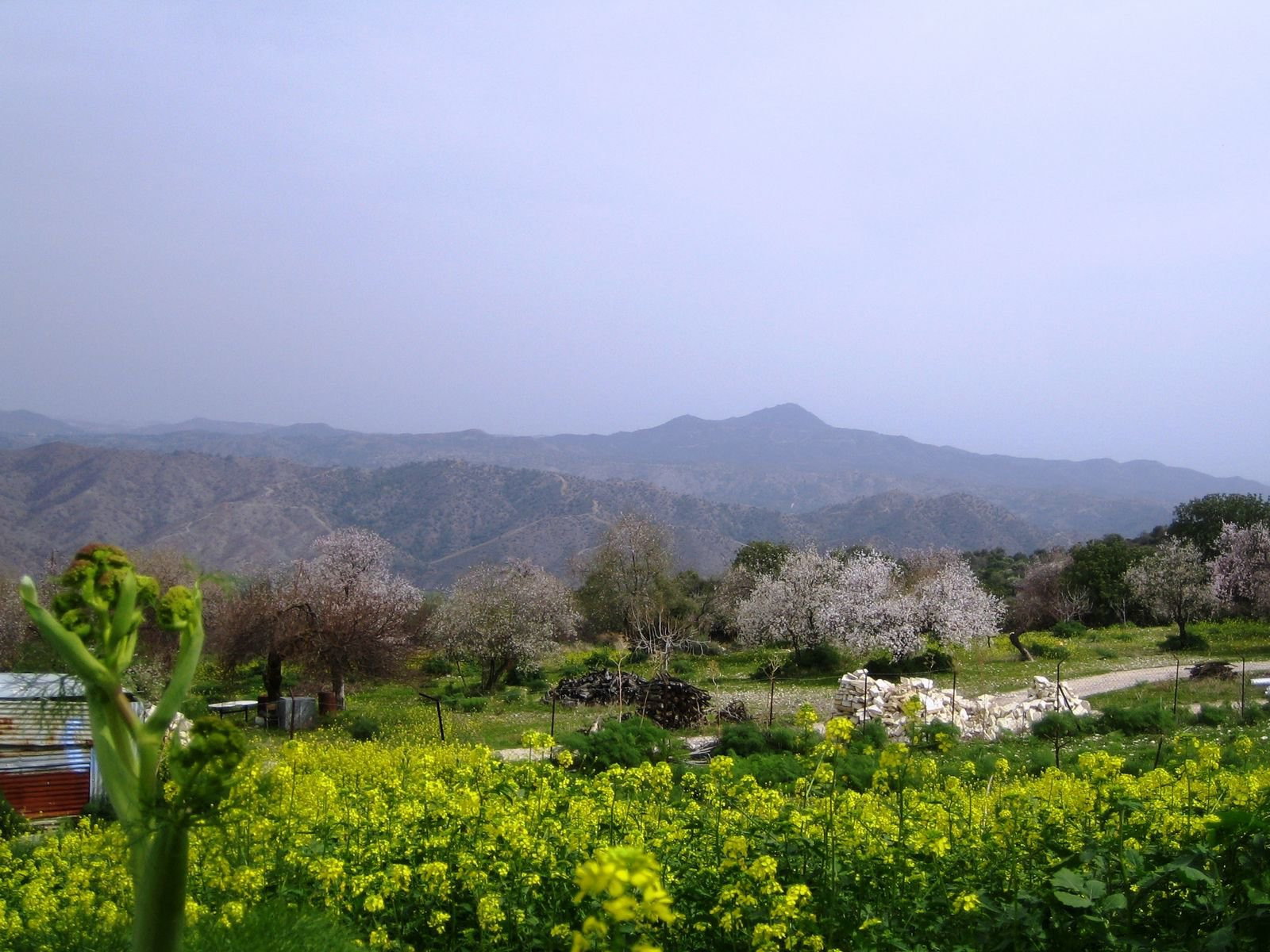 Лефкара, Кипр, фото № 38133 – фотографии Кипра