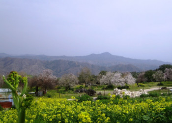 Лефкара, Кипр, фото № 38133 – фотографии Кипра