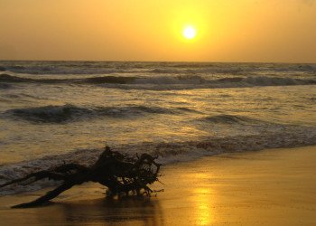 Бентота, Шри-Ланка, фото № 50677 – фотографии Шри-Ланки