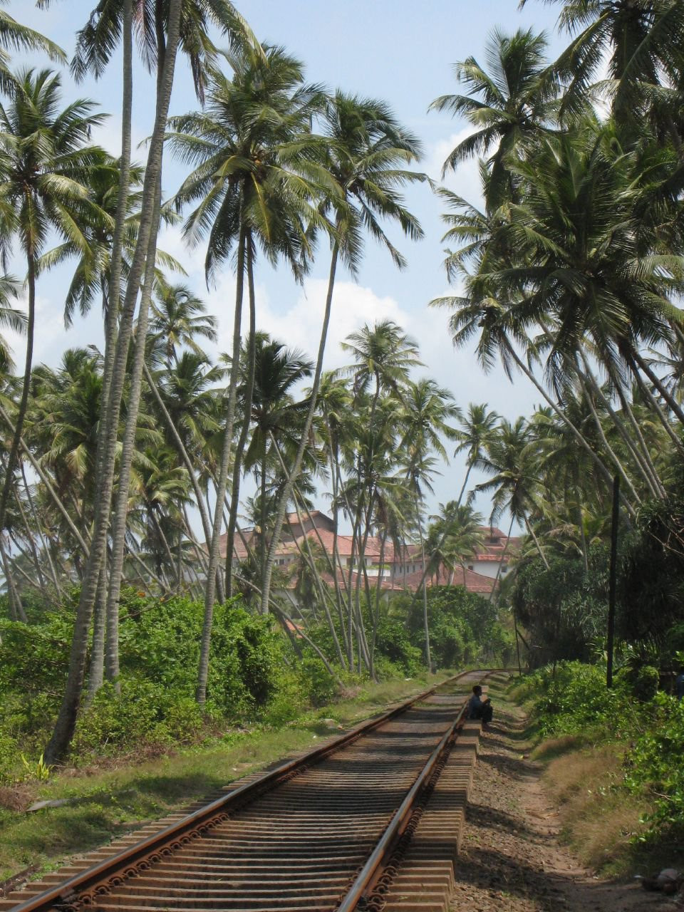 Бентота, Шри-Ланка, фото № 50680 – фотографии Шри-Ланки