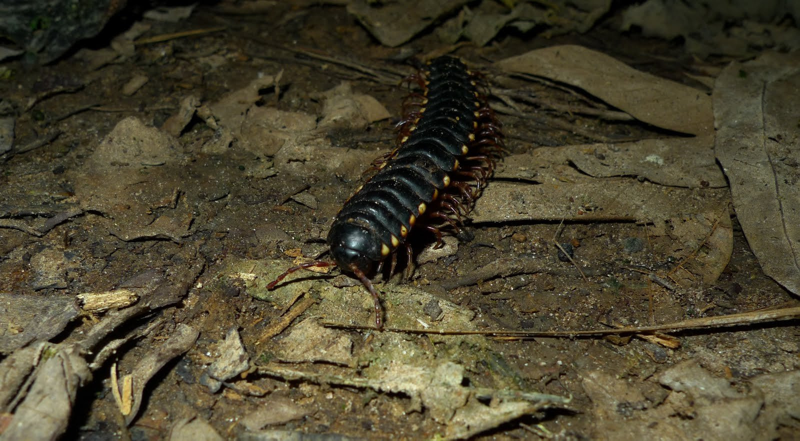 Боливия, фото № 2977 – фотографии Боливии