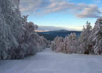 Горнолыжная база "Мраткино". Фото 2 – фотографии России