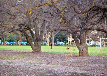 Аделаида (Adelaide), Австралия. Фото 4 – фотографии Австралии