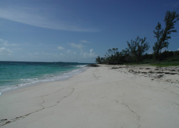 Берега на острове Абако, Багамские острова. Фото 3 – фотографии Багамских островов