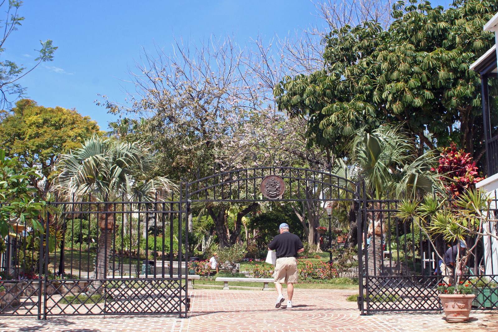 Гамильтон (Hamilton), Бермуды. Фото 43 – фотографии Бермудских островов