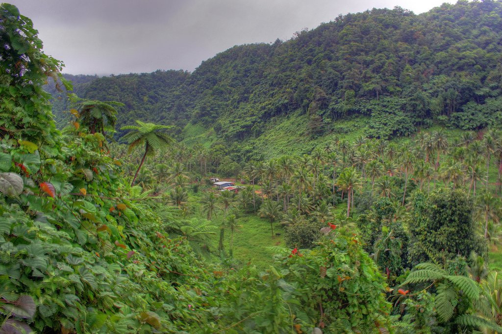 Вануа Леву группа островов, Фиджи, фото № 49354 – фотографии Фиджи