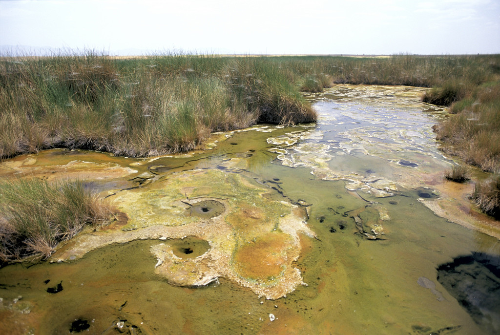 Национальный парк Омо, Эфиопия. Фото 2 – фотографии Эфиопии