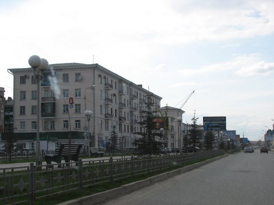 Улица в Грозном, Россия. Фото 9 – фотографии России